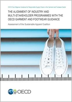 alignment-assessment-garment-footwear-250x350
