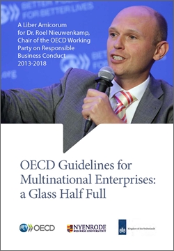 OECD Guidelines for Multinational Enterprises: A glass half full 250x360