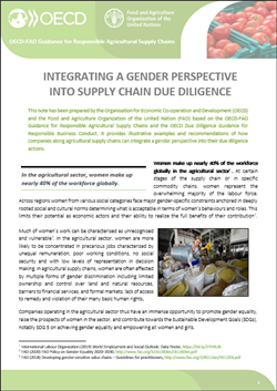 Integrating a gender perspective into supply chain due diligence