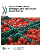 OECD-FAO Guidance for Responisble Agricultural Supply Chains