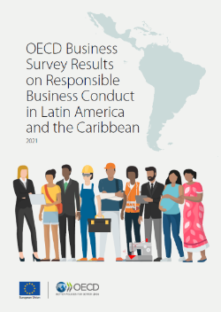 oecd-lac-business-survey-2021-cover