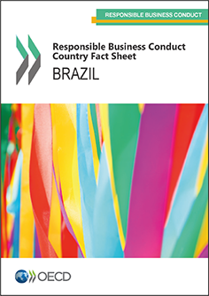 RBC-LAC Country Fact Sheet: Brazil